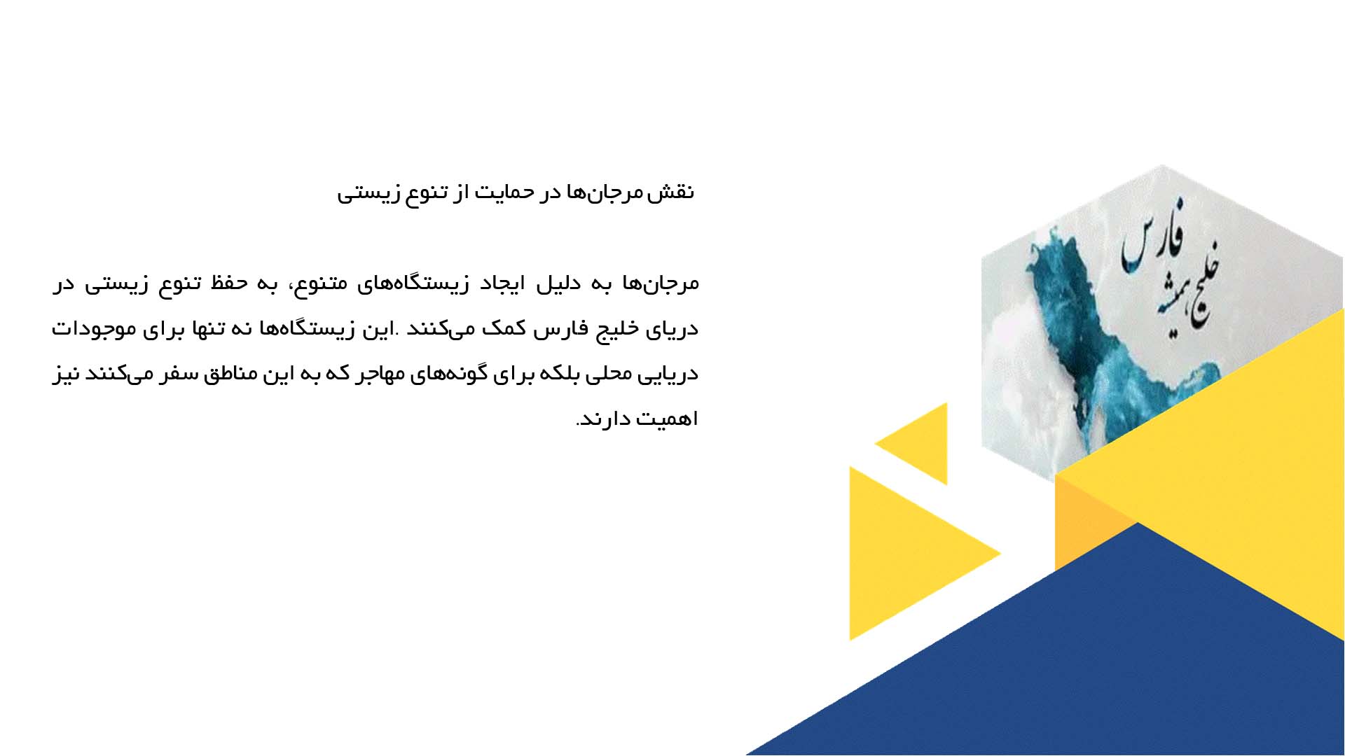 پاورپوینت در مورد نقش مرجان‌ها در اکوسیستم خلیج فارس